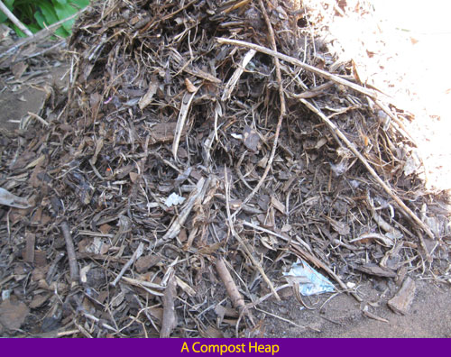 decomposition a compost heap