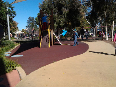 Living and nonliving things playground environment