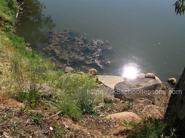examples of reflectors of light - Smooth water