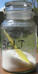 insoluble and soluble materials example salt is soluble