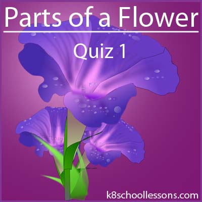 A Flower Quiz 1 Science Quizzes