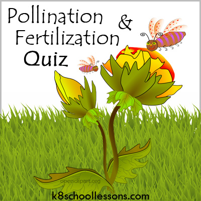Pollination And Fertilization Quiz
