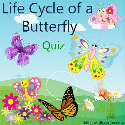 Life Cycle Of A Butterfly Quiz Butterfly S Life Cycle Quiz Animals Quizzes