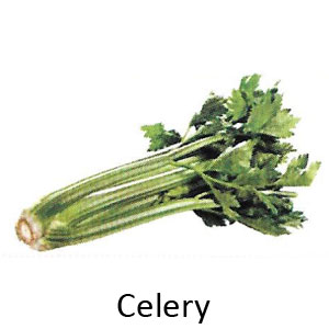 List of food good for your teeth - Celery is good for your teeth
