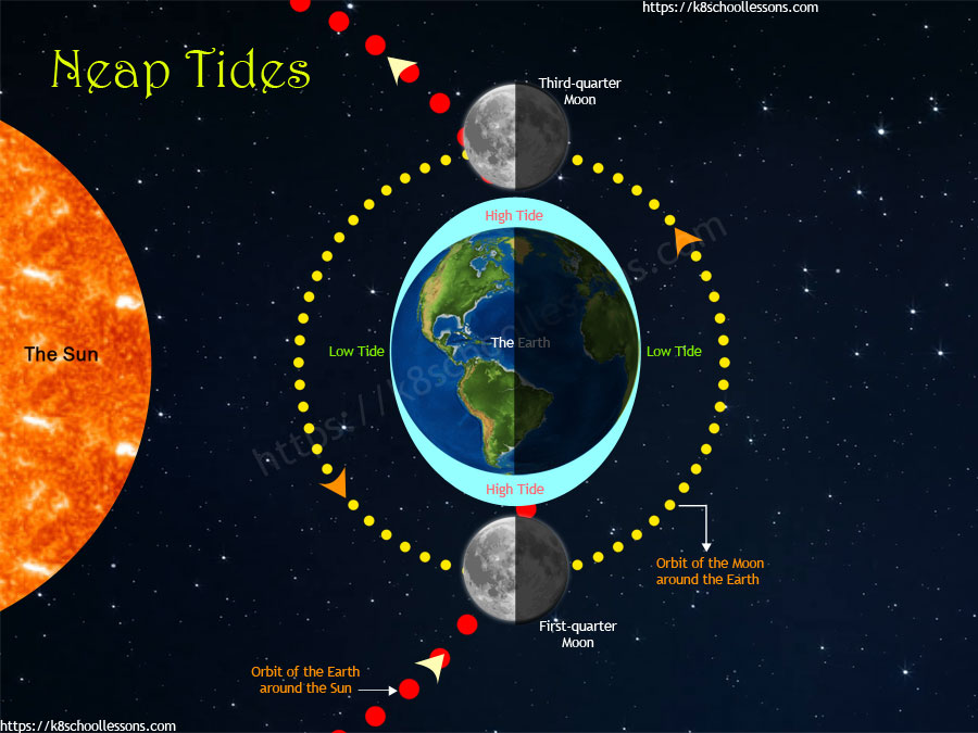 Gravity for kids - How neap tides occur?