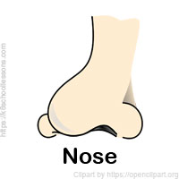sense-organs-nose