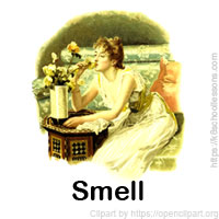 senses-nose-smell